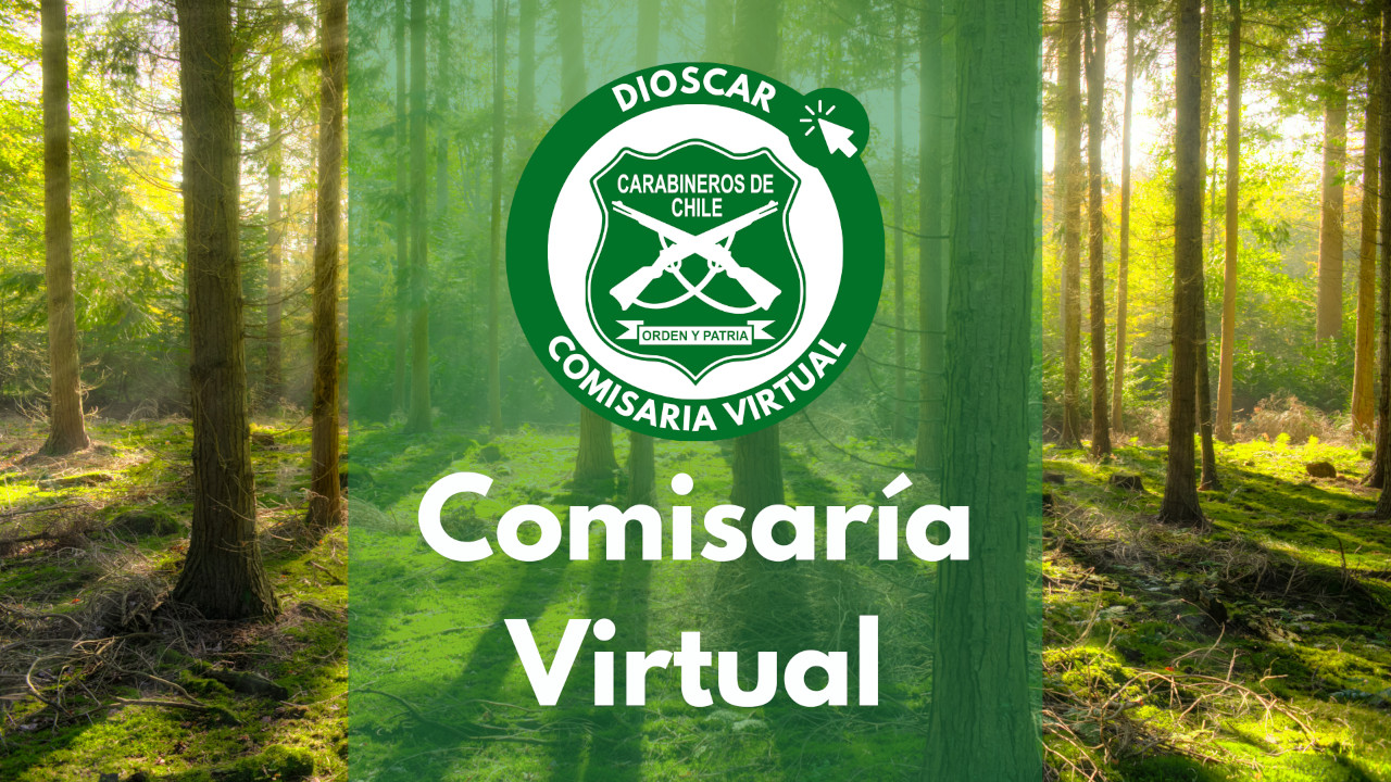 Comisaría Virtual